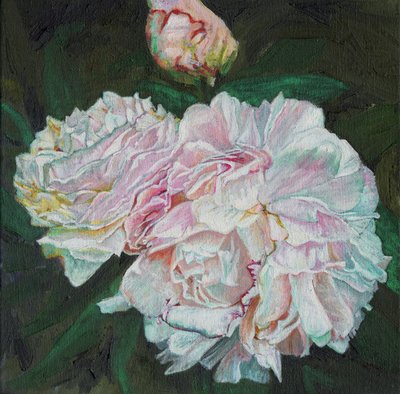 First blooms, 2012 by Helen White
